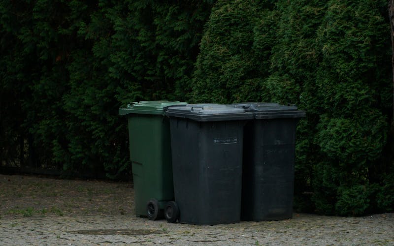 Professional trash can cleaning service